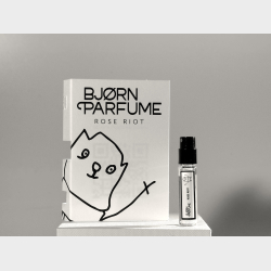 ROSE RIOT SAMPLE<strong> In a world where conformity is the enemy of creativity </strong>